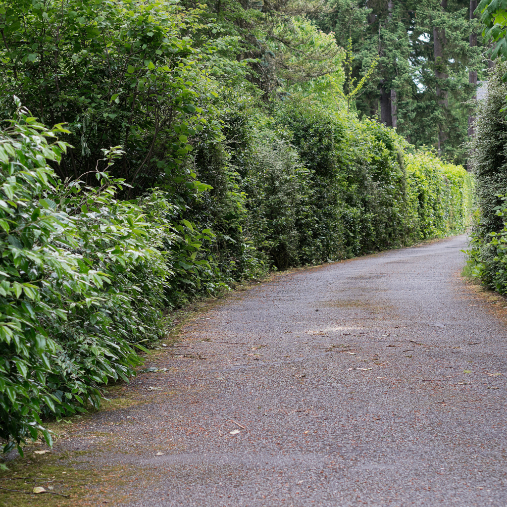 Quality Tarmaced Driveway by WCD in Tarporley
